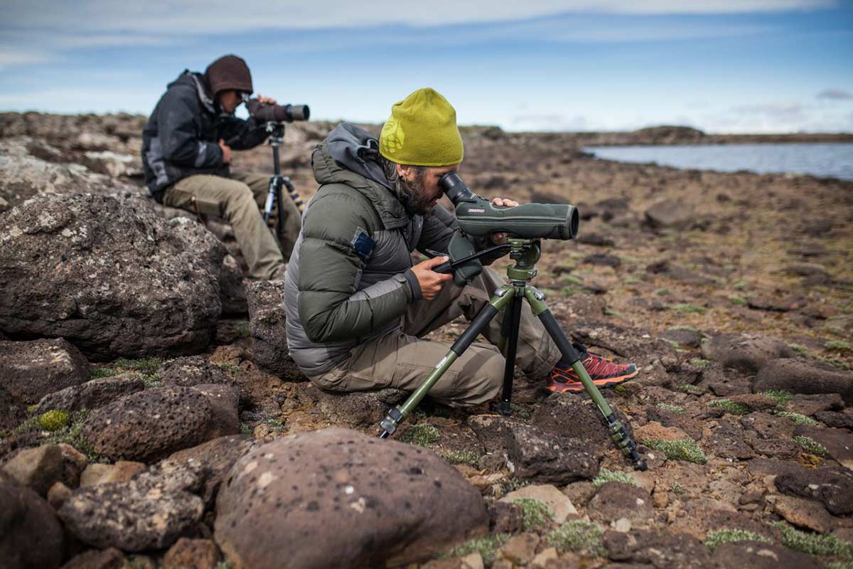 Un biólogo del Conicet ganó un “Oscar verde” por preservar un ave patagónica