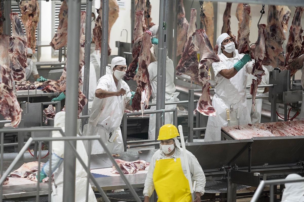 Negociación con exportadores de carne: nuevo acuerdo de precios y volúmenes para el mercado interno