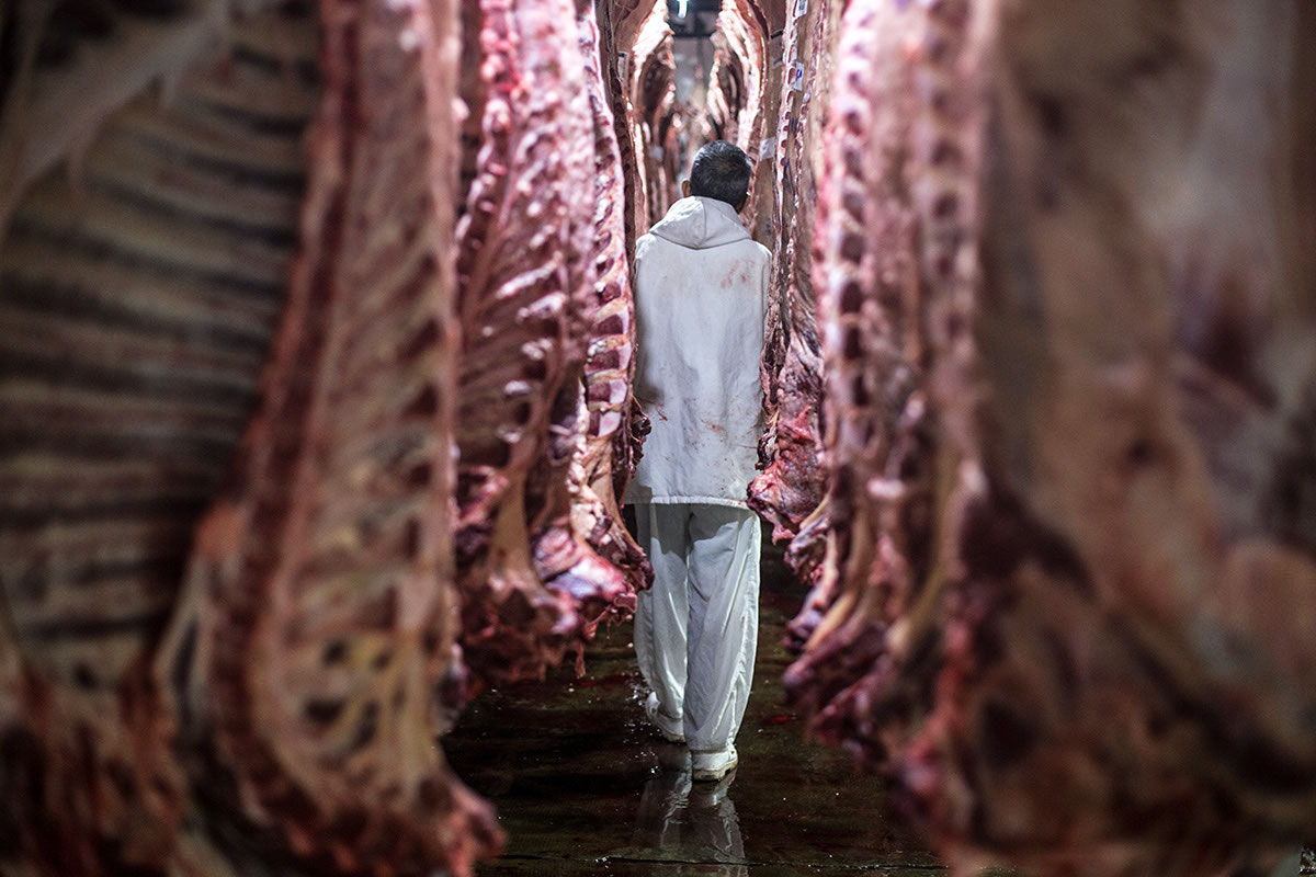 Los obreros de la carne llevaron su recomposición salarial hasta el 85%