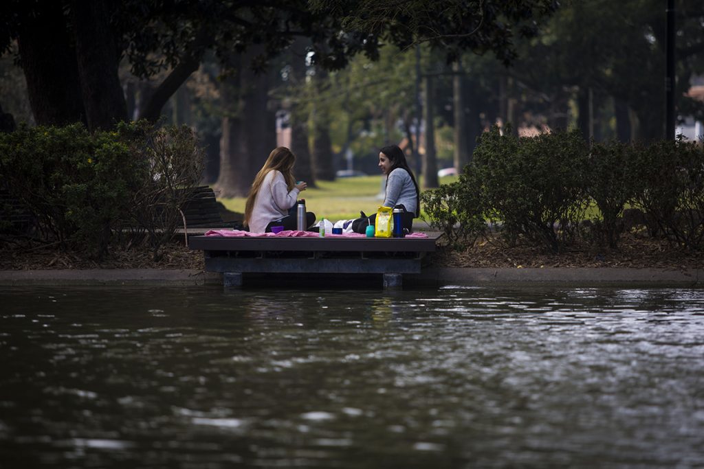 La desigualdad social también se ve en el acceso a los espacios verdes 4 La desigualdad social también se ve en el acceso a los espacios verdes