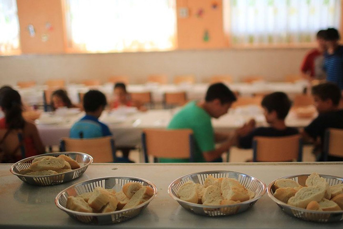 Casi el 80% de los chicos rechaza incorporar alimentos nuevos