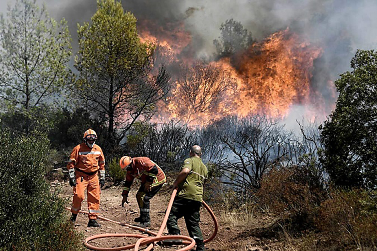 Paro de brigadistas de todo el país: ganan $ 69 mil al mes por apagar los incendios forestales
