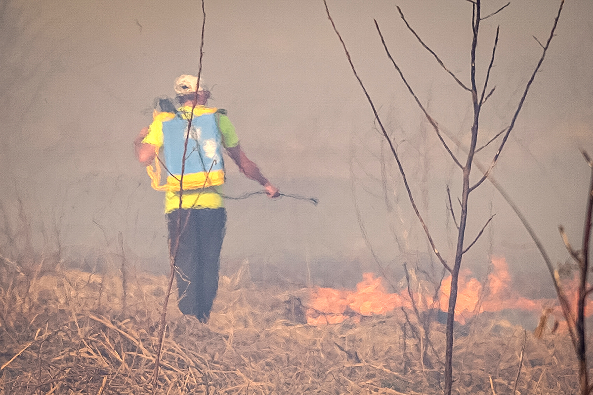 Piden no acercarse a zonas de incendios en islas del delta del río Paraná ni convocar a voluntarios