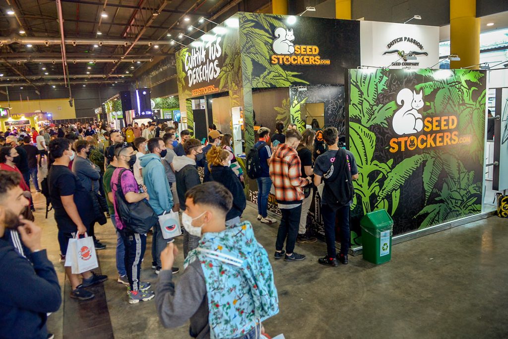 Cannabis: "En solo dos años, el cambio ha sido abismal" 3 Cannabis: "En solo dos años, el cambio ha sido abismal"