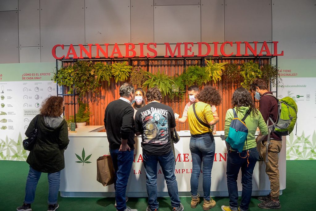 Cannabis: "En solo dos años, el cambio ha sido abismal" 5 Cannabis: "En solo dos años, el cambio ha sido abismal"