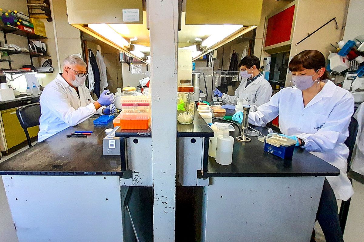 Investigadores del Conicet avanzan en la mejora de un tratamiento de melanoma