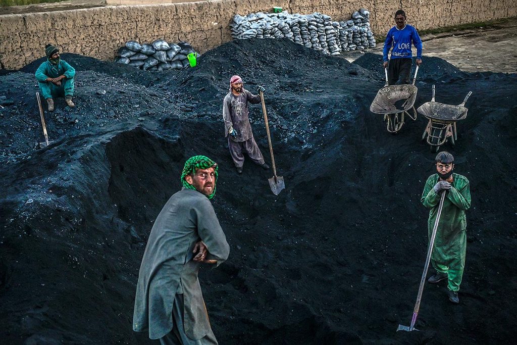 Las fotos de la semana