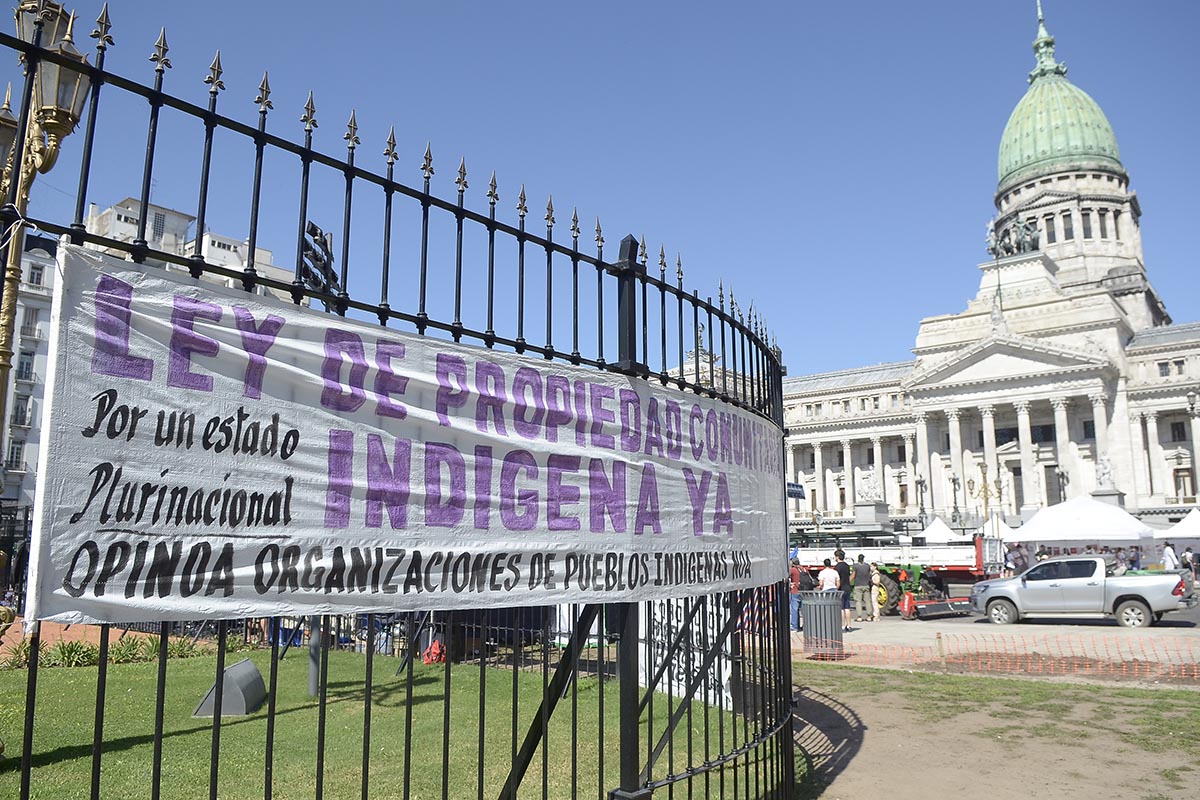 “Están usando al pueblo mapuche pero el mensaje es para todas las comunidades indígenas”