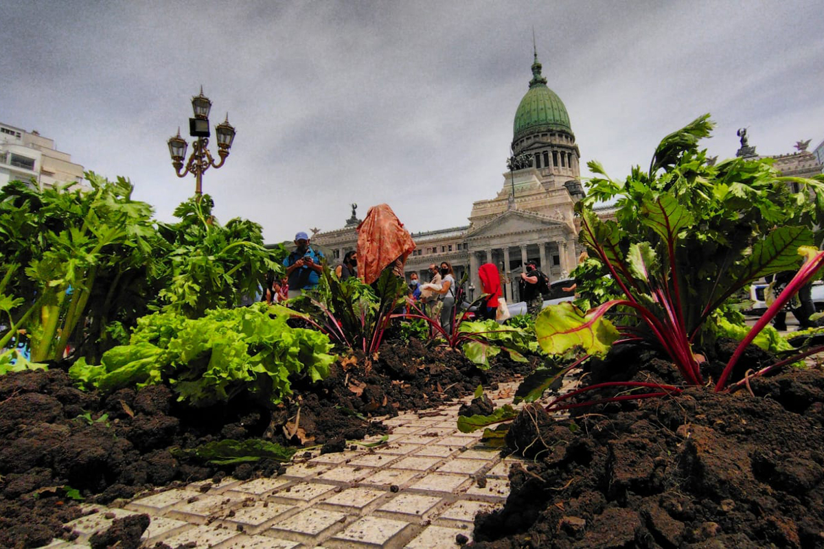 La Ley de Acceso a la Tierra tiene dictamen favorable para su tratamiento en Diputados