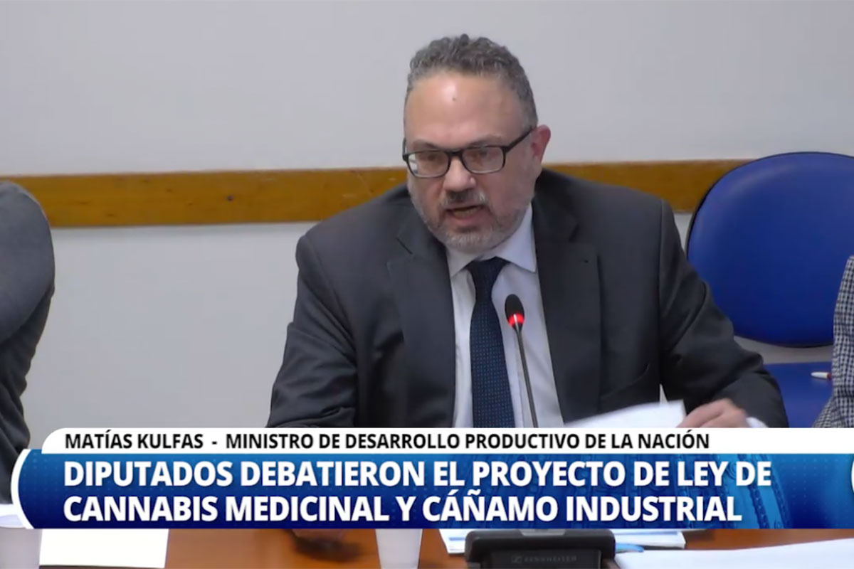 Con la presencia de Kulfas, Diputados avanzó con el proyecto que regula la producción de cannabis medicinal