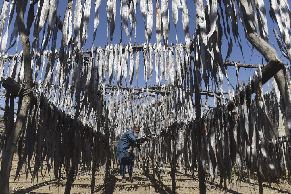 Fotogalería de la semana