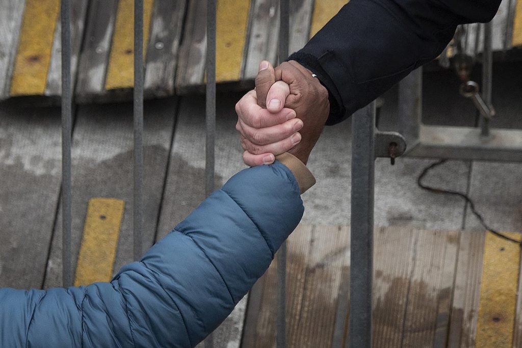 Fotogalería de la semana