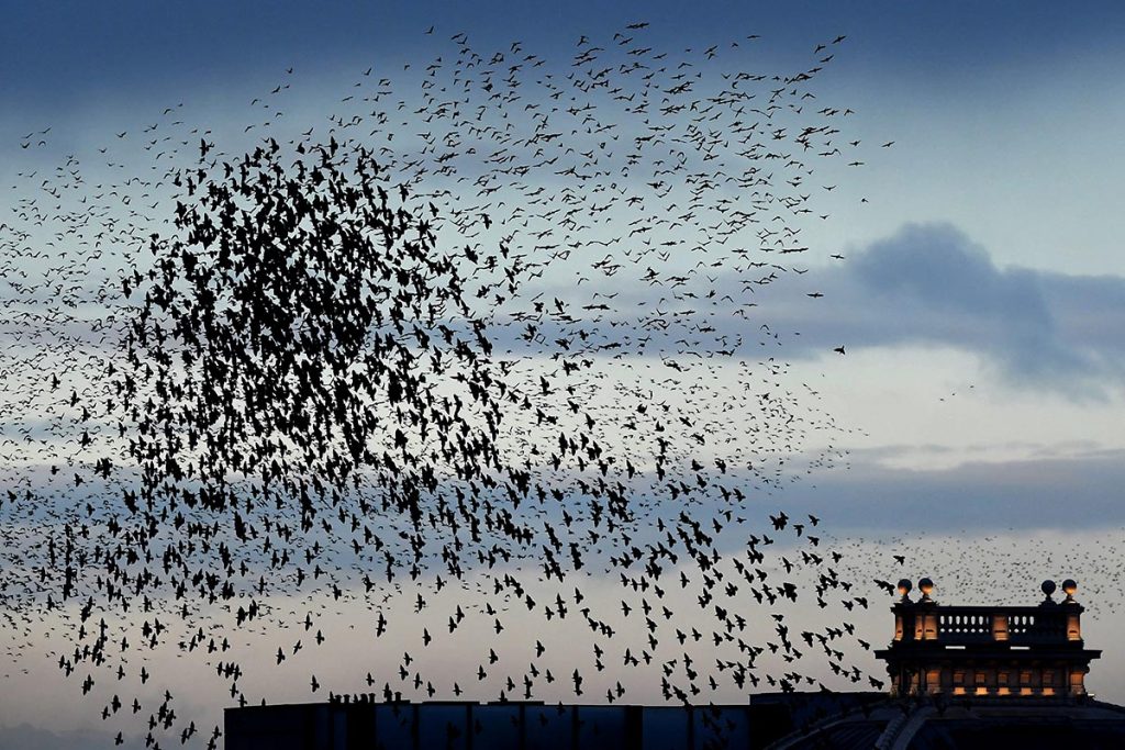 Las imágenes de la semana