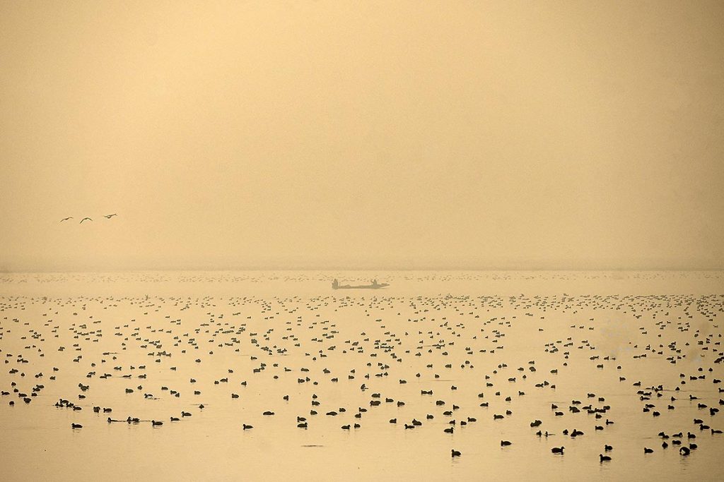 Fotogalería de la semana