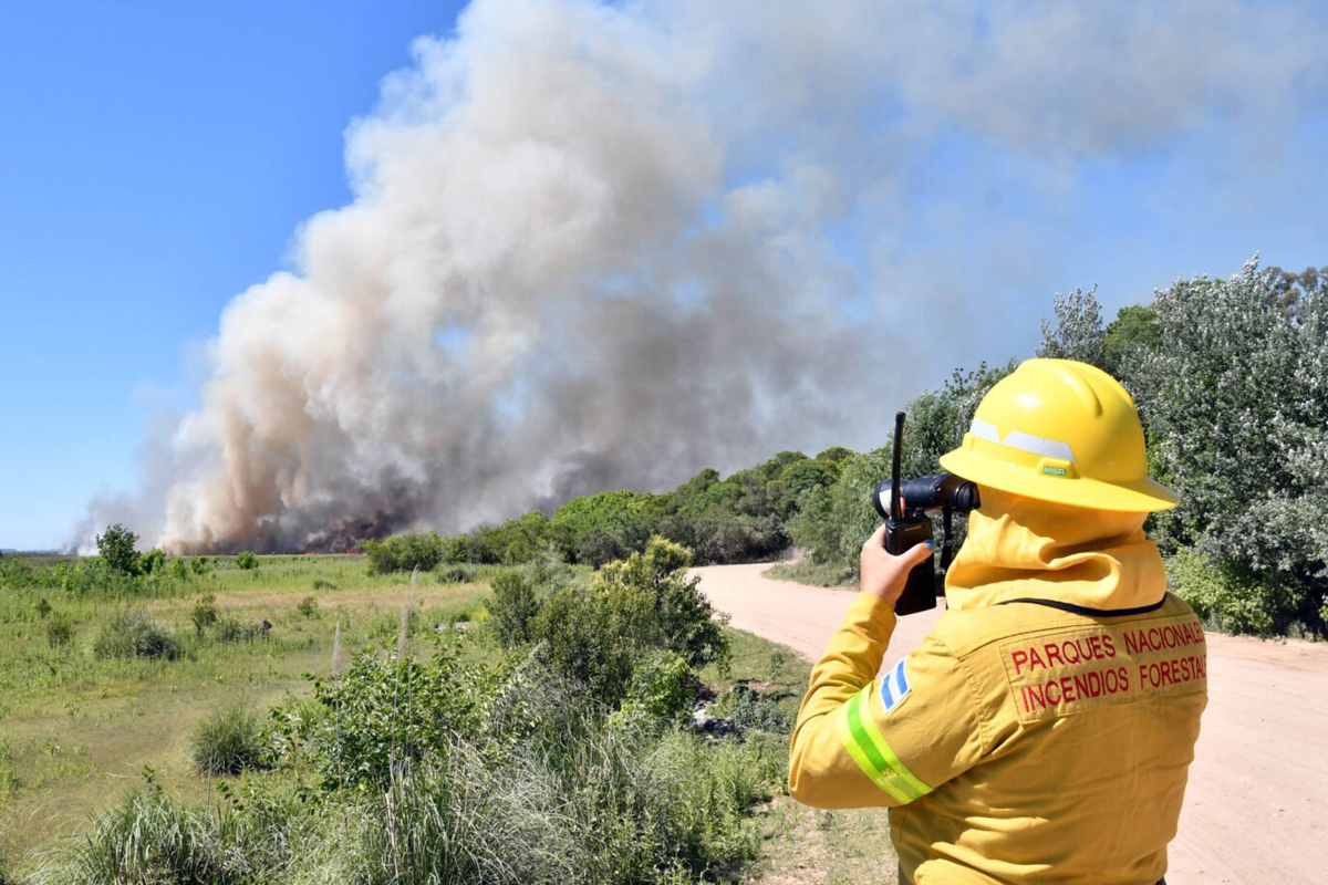 Más de 50 brigadistas combaten el incendio en el Parque Nacional Ciervo de los Pantanos, en Campana