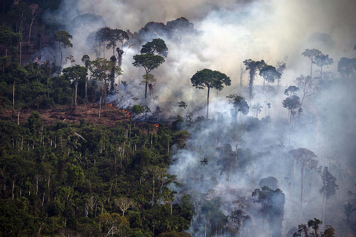 Brasil registra una deforestación récord de la selva amazónica