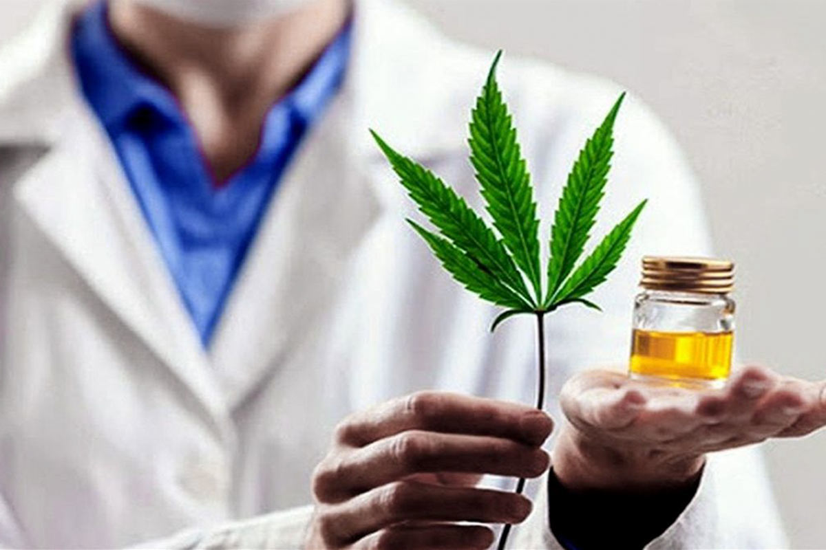Desde el Conicet aseguran que Argentina está a la vanguardia del acceso al cannabis medicinal
