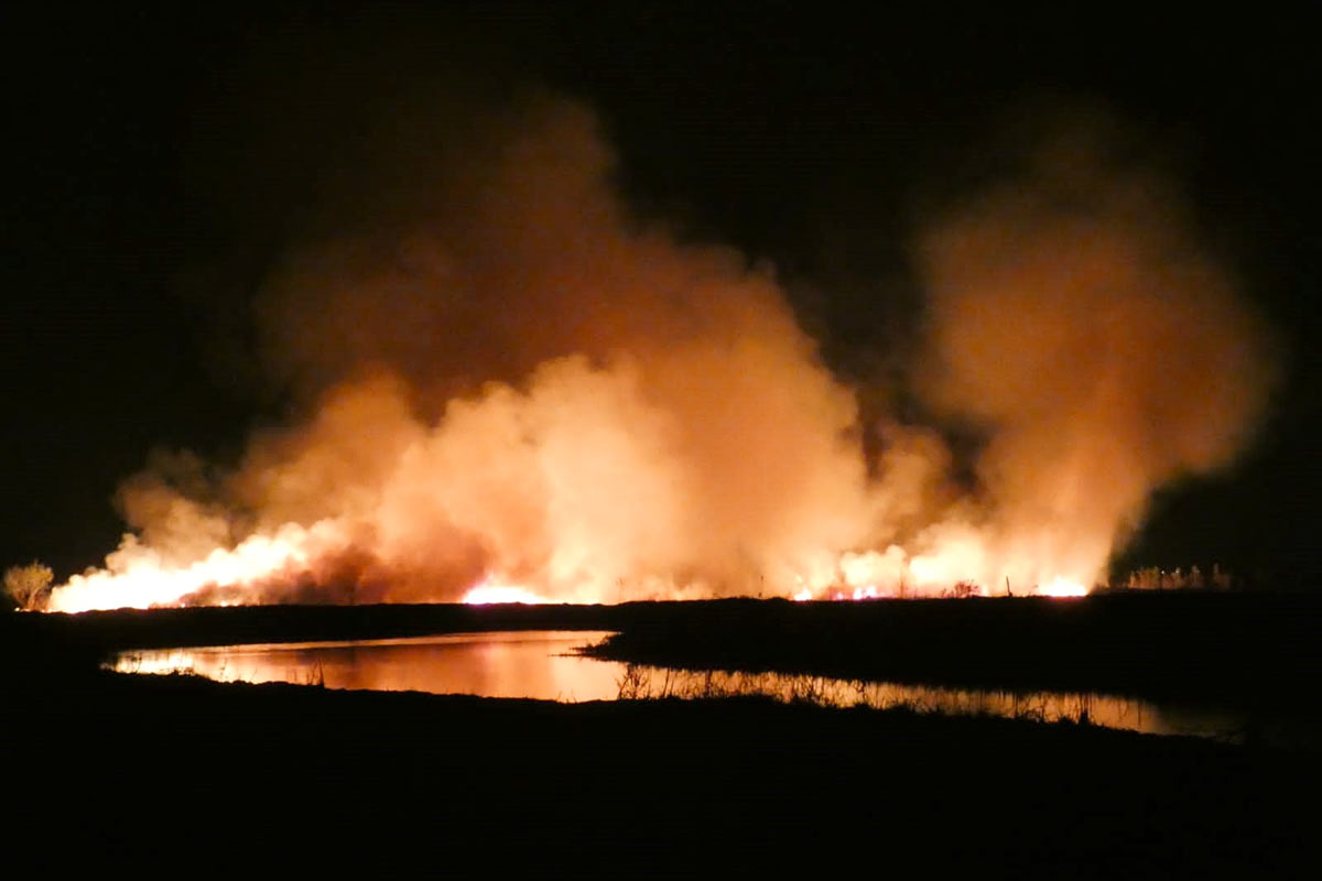 Pases de factura entre Santa Fe y Entre Ríos, mientras las quemas y el humo siguen en el Delta del Paraná