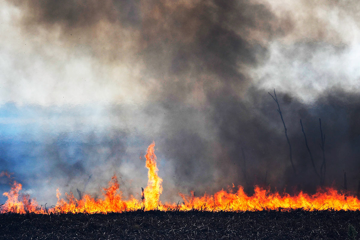 Volvieron los incendios a las islas del río Paraná en Entre Ríos