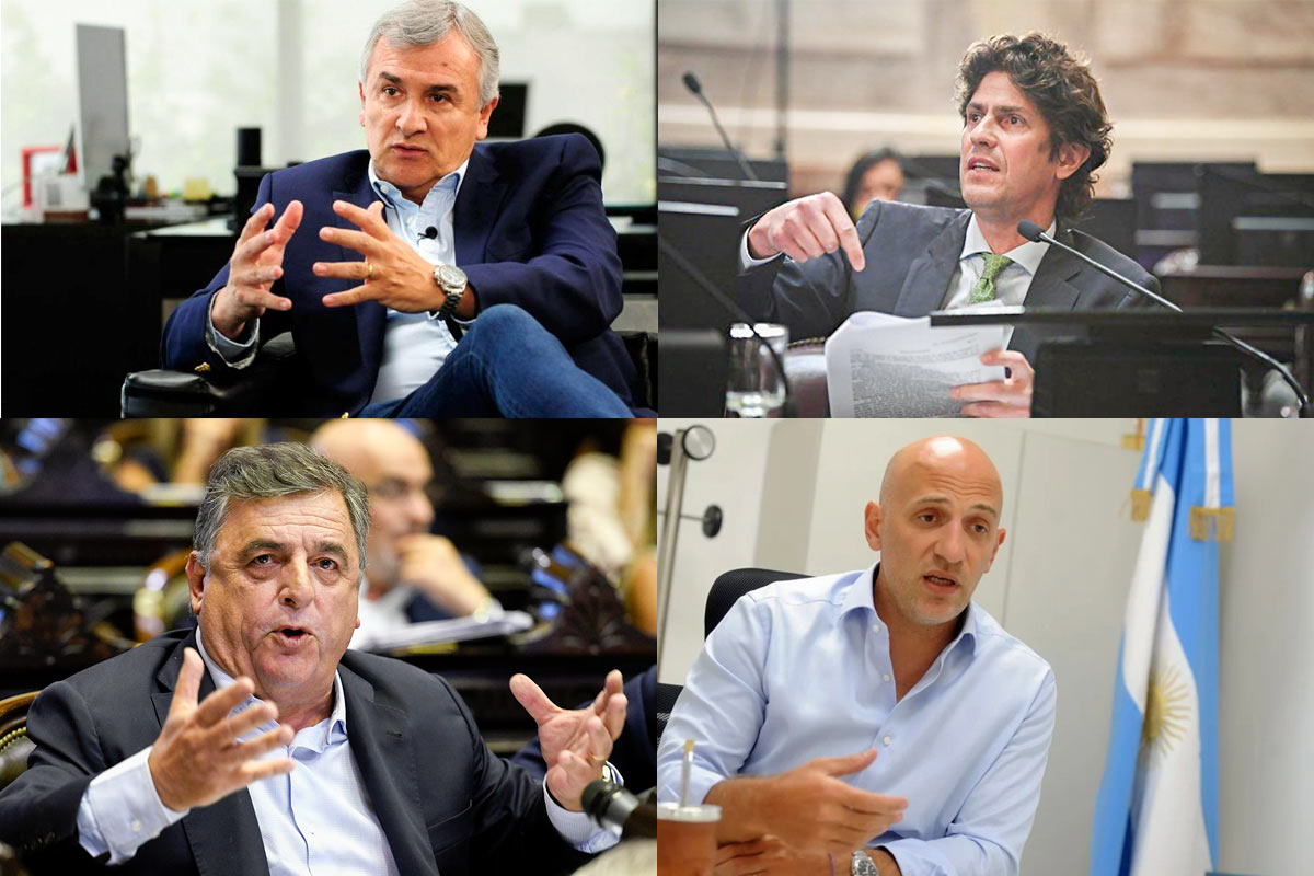 La presidencia de la UCR: el próximo round de la interna después del cisma en Diputados