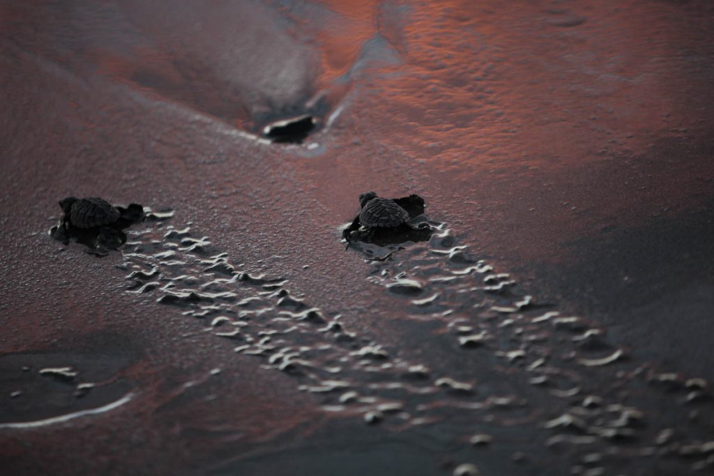 Las imágenes de la semana