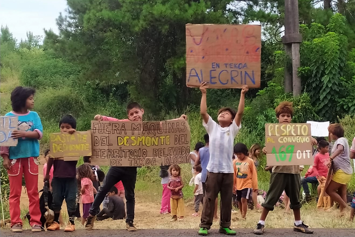 Una aldea mbya guaraní denunció tala y desmonte empresarial en una zona protegida por la ley indígena
