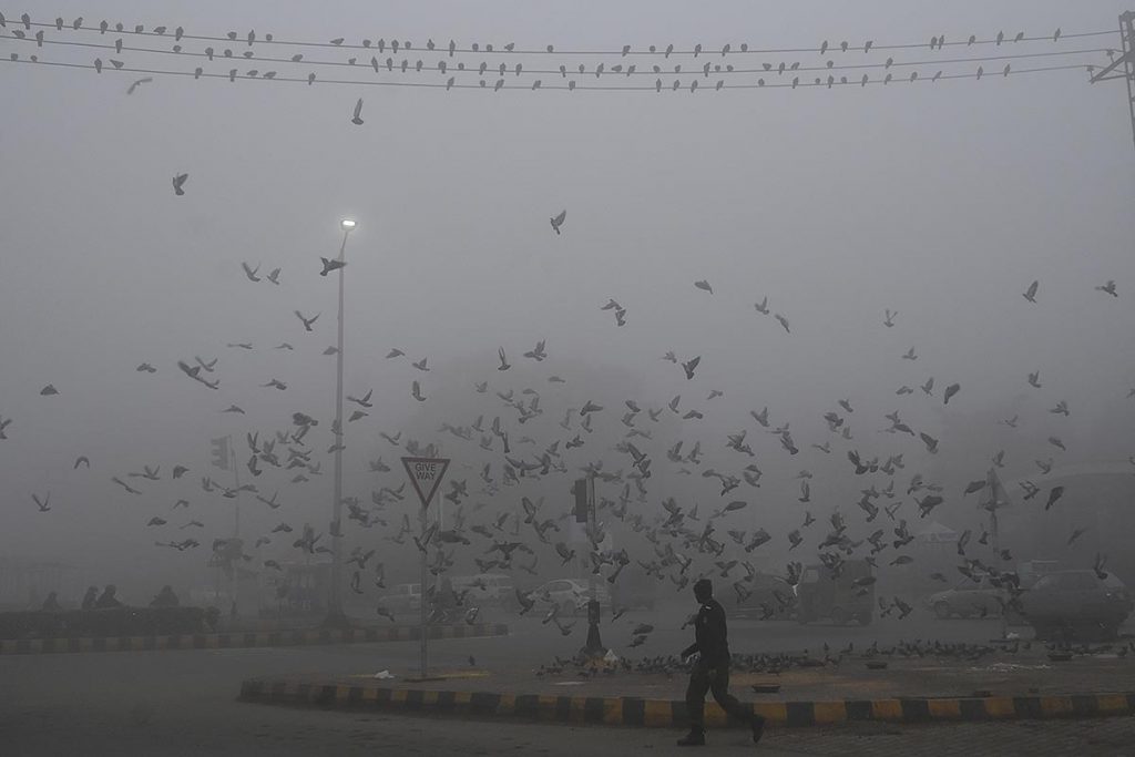 Las fotos de la semana