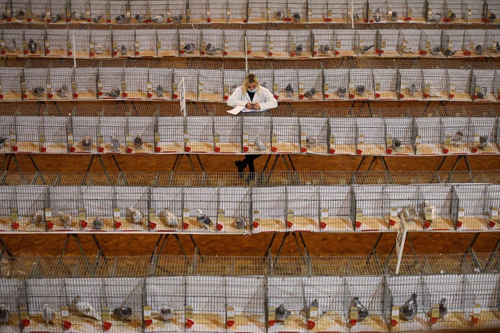 Fotogalería de la semana