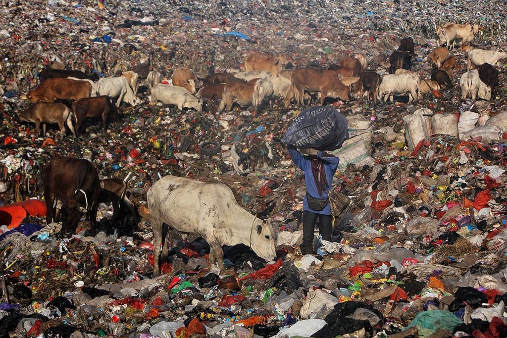 Las fotos de la semana