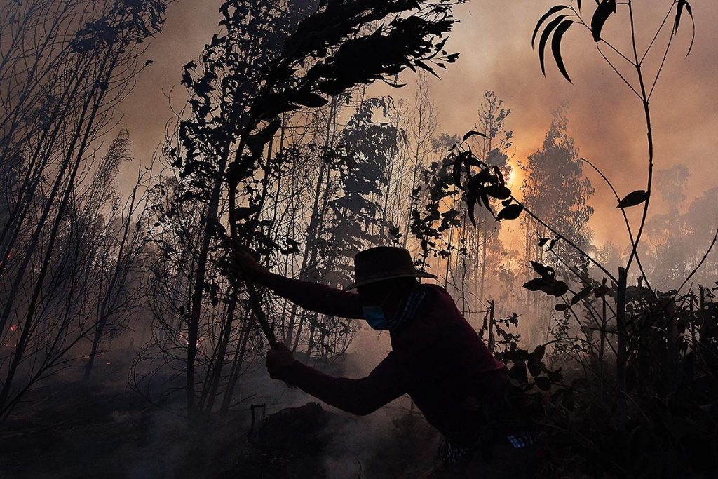 Las fotos de la semana