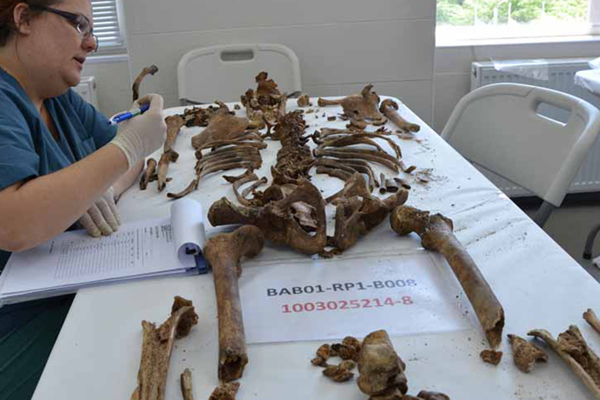 Crean una osteoteca en Mendoza: «Nuestros muertos, en sus huesos, nos hablan»