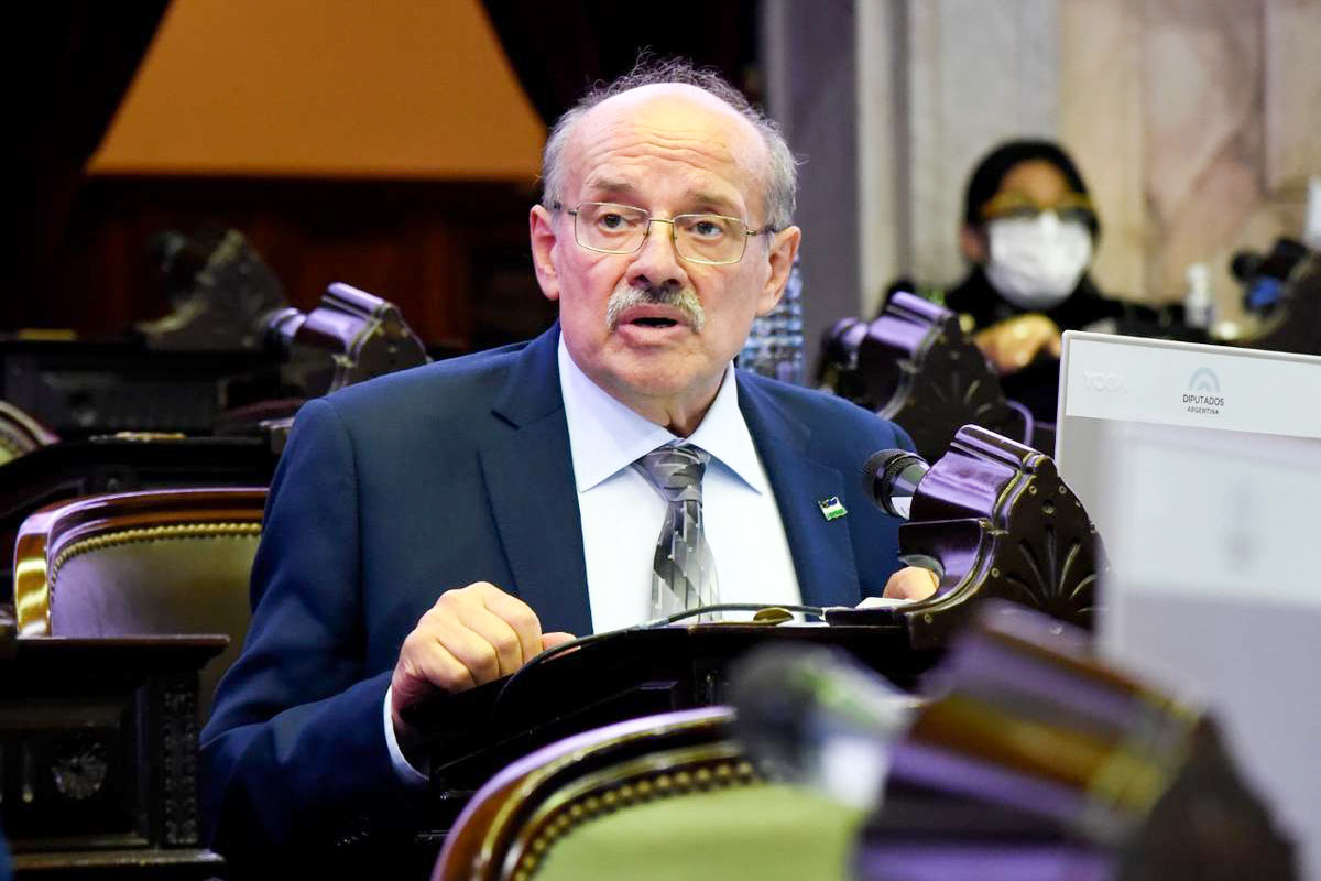 Un aliado del oficialismo presentó un proyecto para suspender las PASO