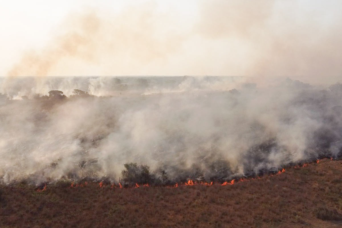 Se prendió fuego un avión hidrante que combatía focos de incendio forestal en Corrientes
