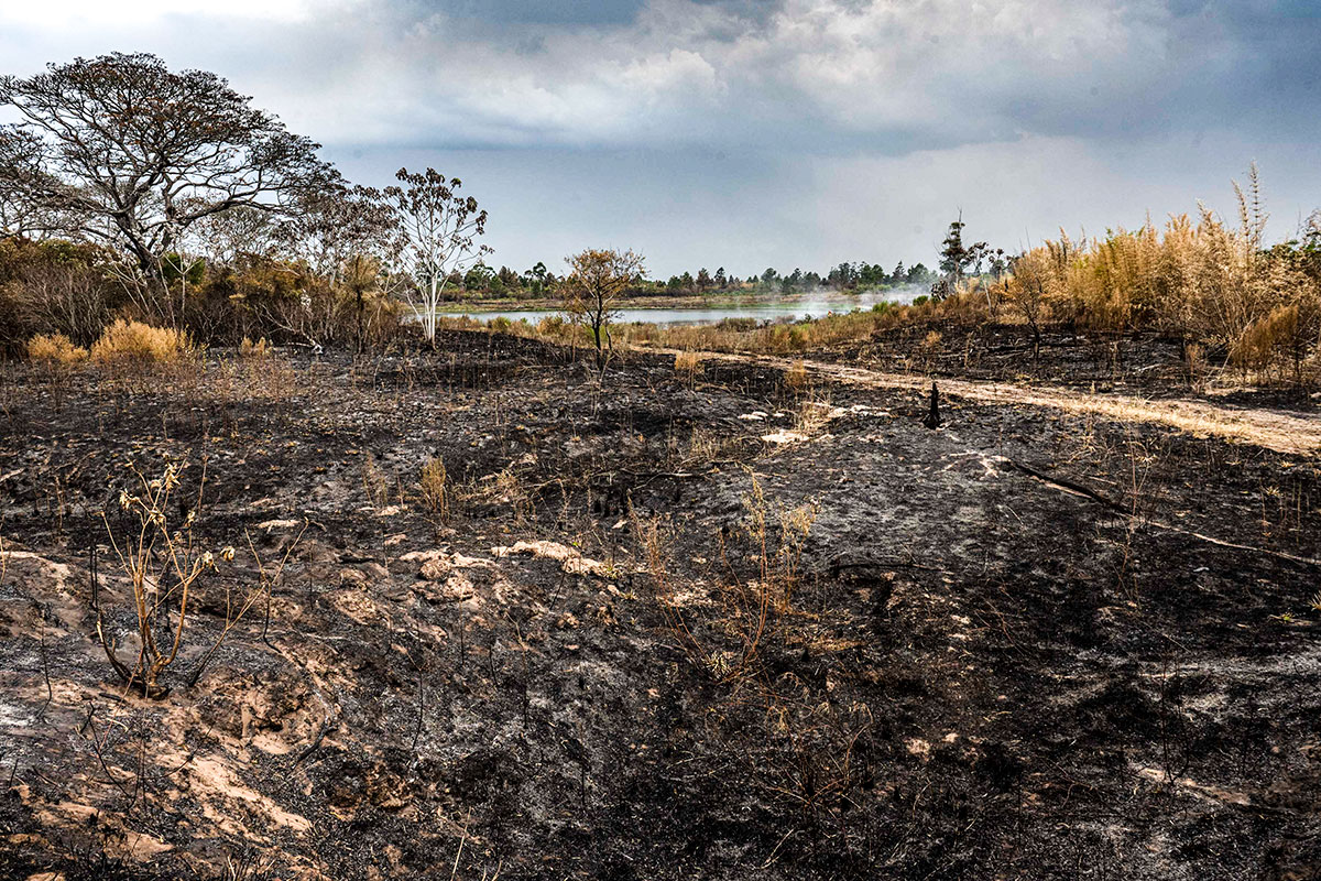 Incendios en Corrientes: las hectáreas arrasadas ascenderían a casi un millón