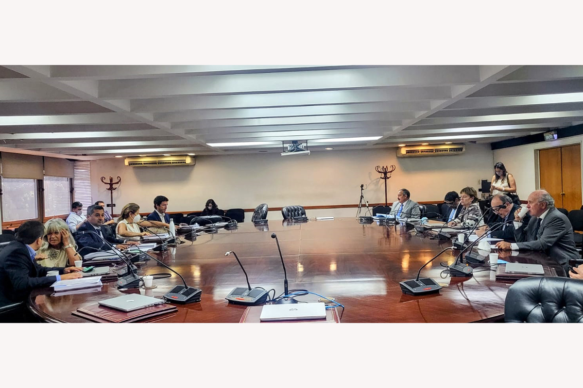 Se presentó el pedido de juicio político contra Llorens y Bertuzzi por el fallo que benefició a Arribas y Majdalani