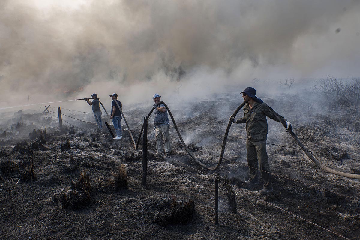 Se abrieron más de 70 causas por incendios rurales intencionales