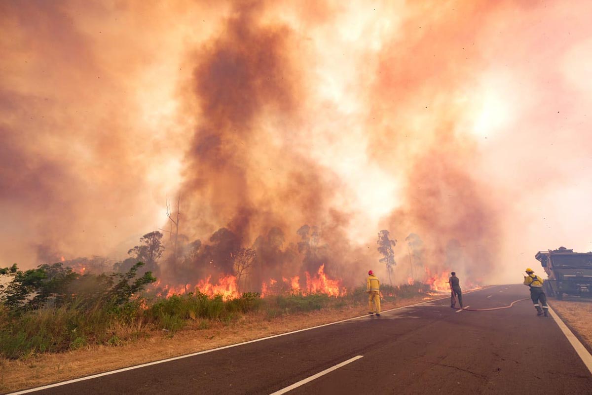 Corrientes: detectan 14 nuevos focos de incendio en los Esteros del Iberá