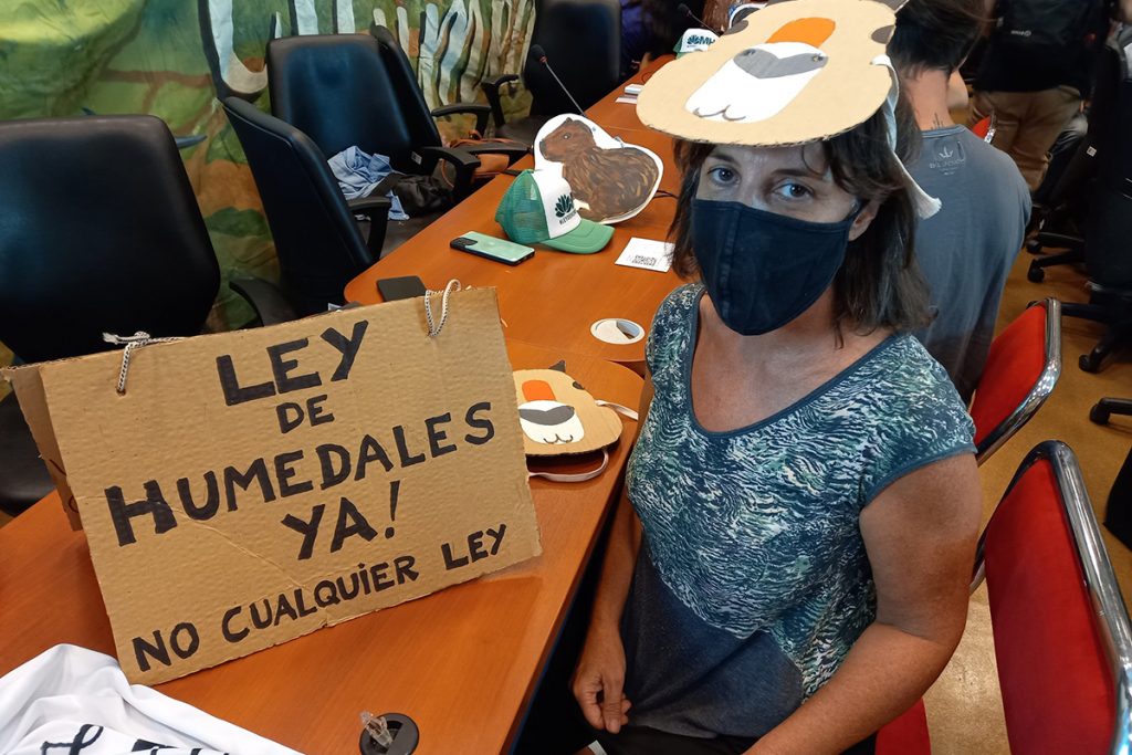 Reimpulsan en Diputados el proyecto de Ley de Humedales