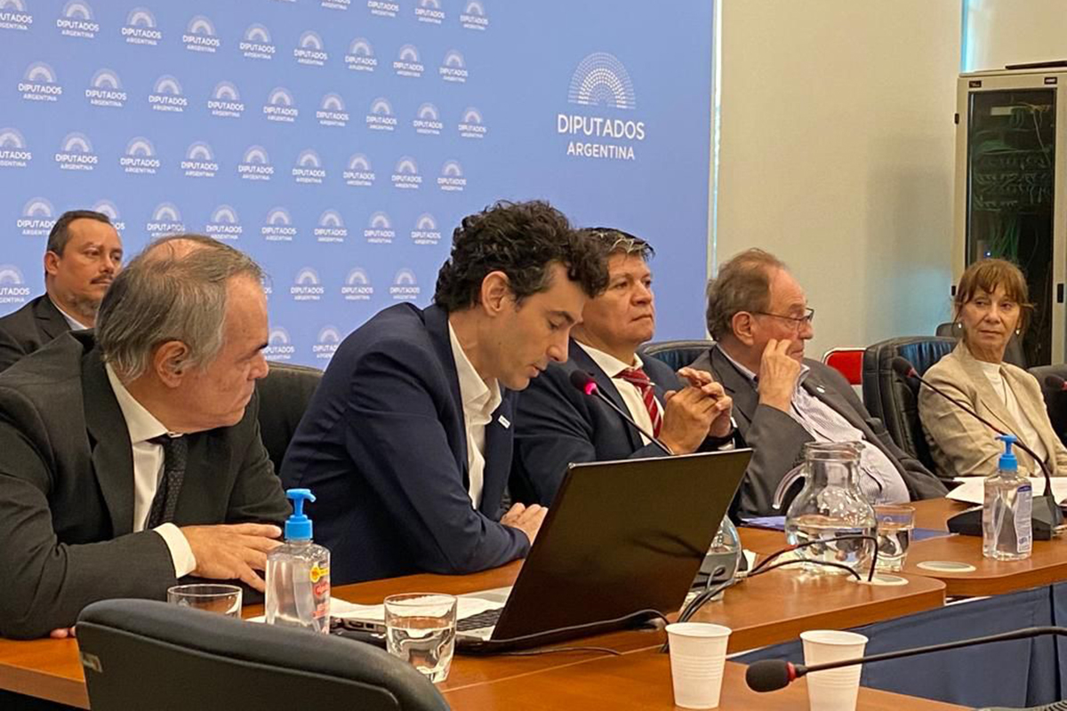 Acuerdo con el FMI en Diputados: tercer día de comisiones y expectativa de dictamen