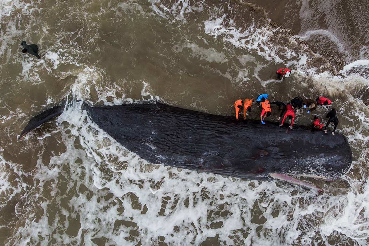 Llega una nueva edición de la Muestra Anual de Fotoperiodismo Argentino