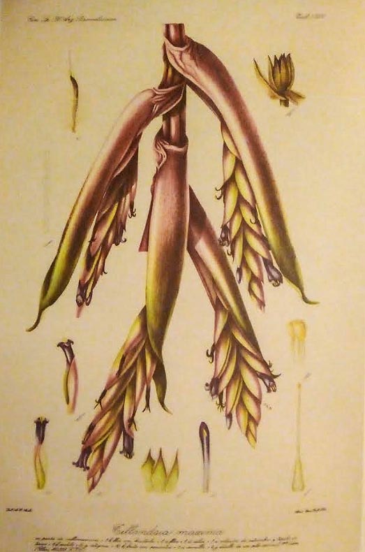 Cuando la ciencia produce arte