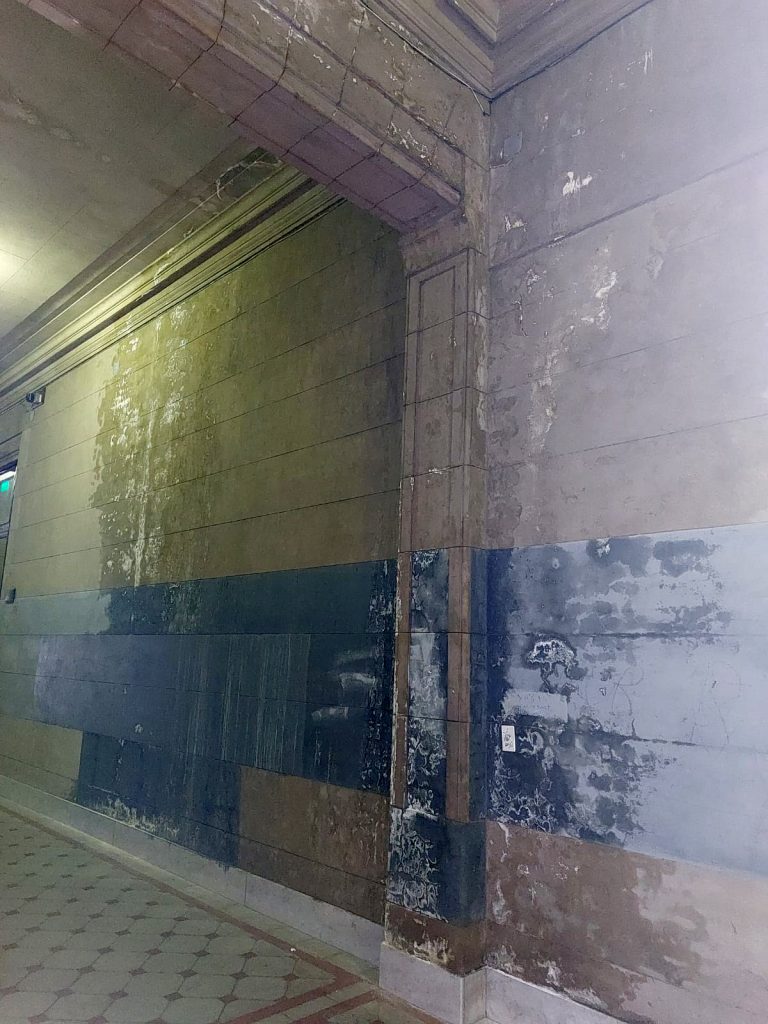 Ratas, plaga de arañas y caída de techos: el estado actual de los históricos Carlos Pellegrini y Nacional de Buenos Aires 3 Ratas, plaga de arañas y caída de techos: el estado actual de los históricos Carlos Pellegrini y Nacional de Buenos Aires