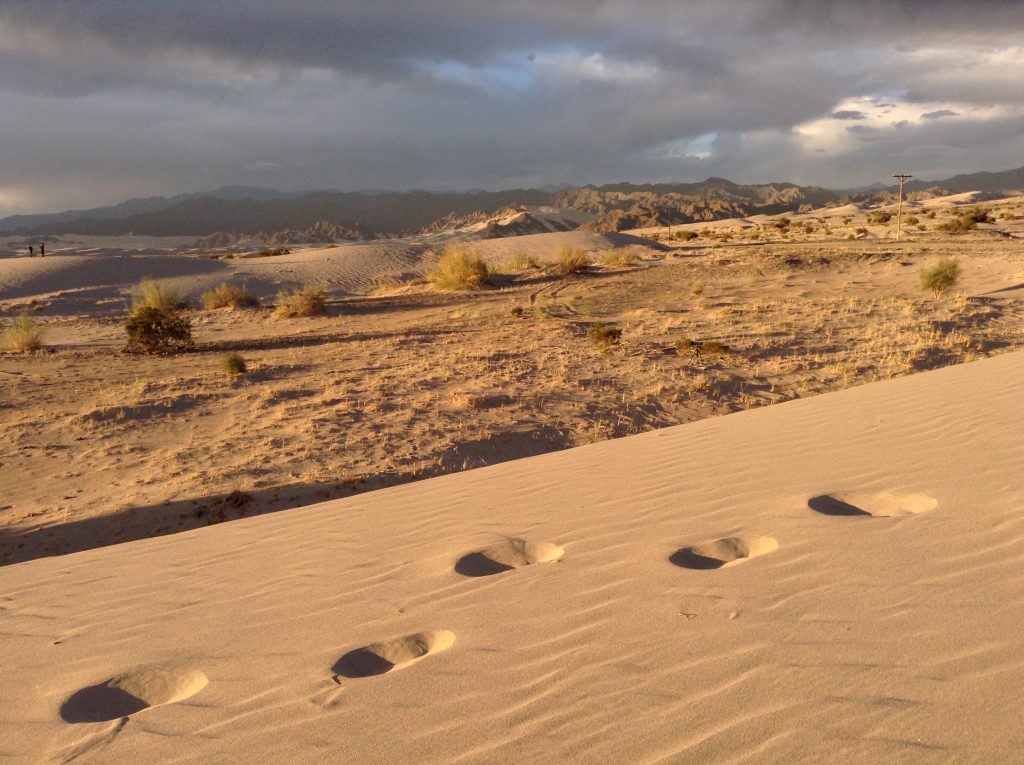 La Casona del Pino: “El Presidente olvidado”