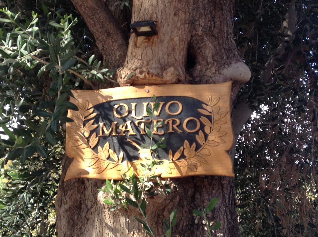 La Casona del Pino: “El Presidente olvidado”