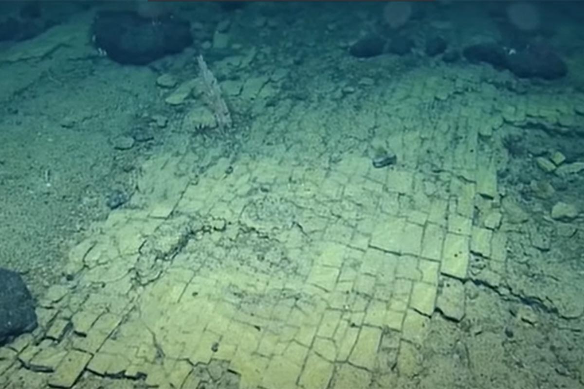 Sorpresa submarina: un camino de ladrillos amarillos a 3000 metros de profundidad
