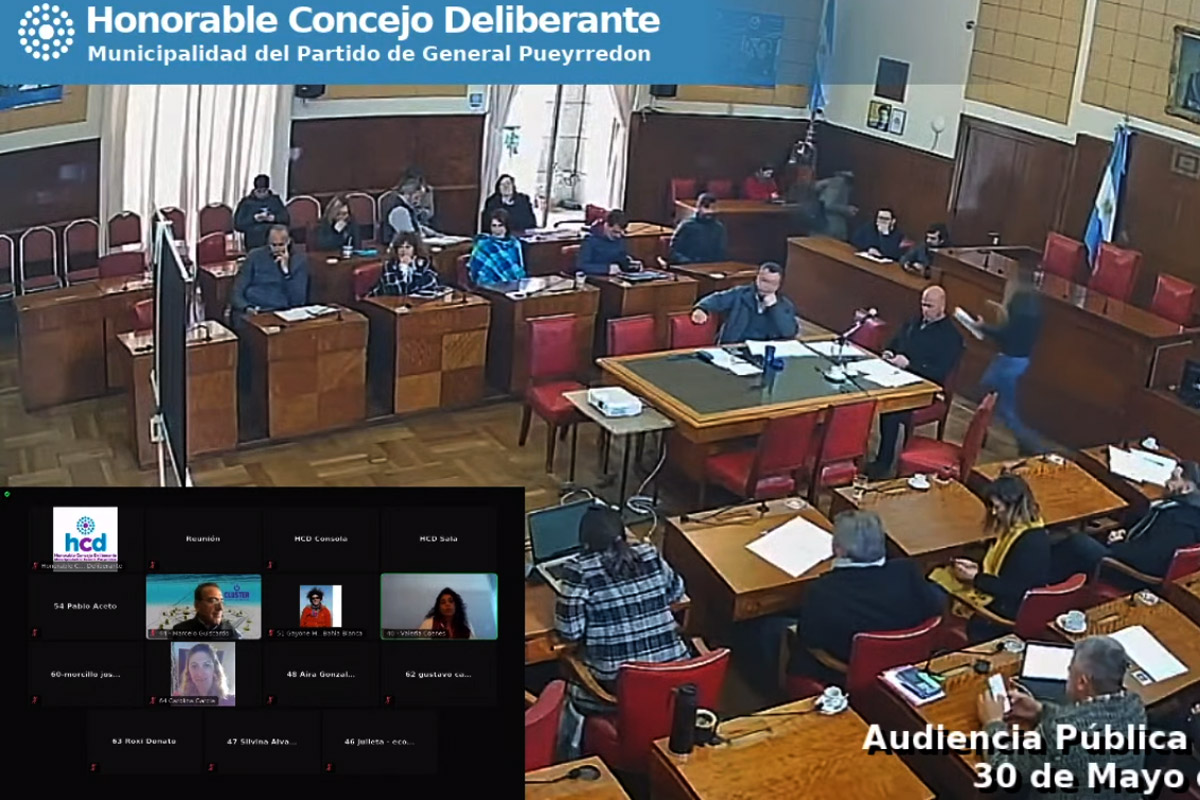 Exploración offshore: cómo fue la primera audiencia pública en Mar del Plata
