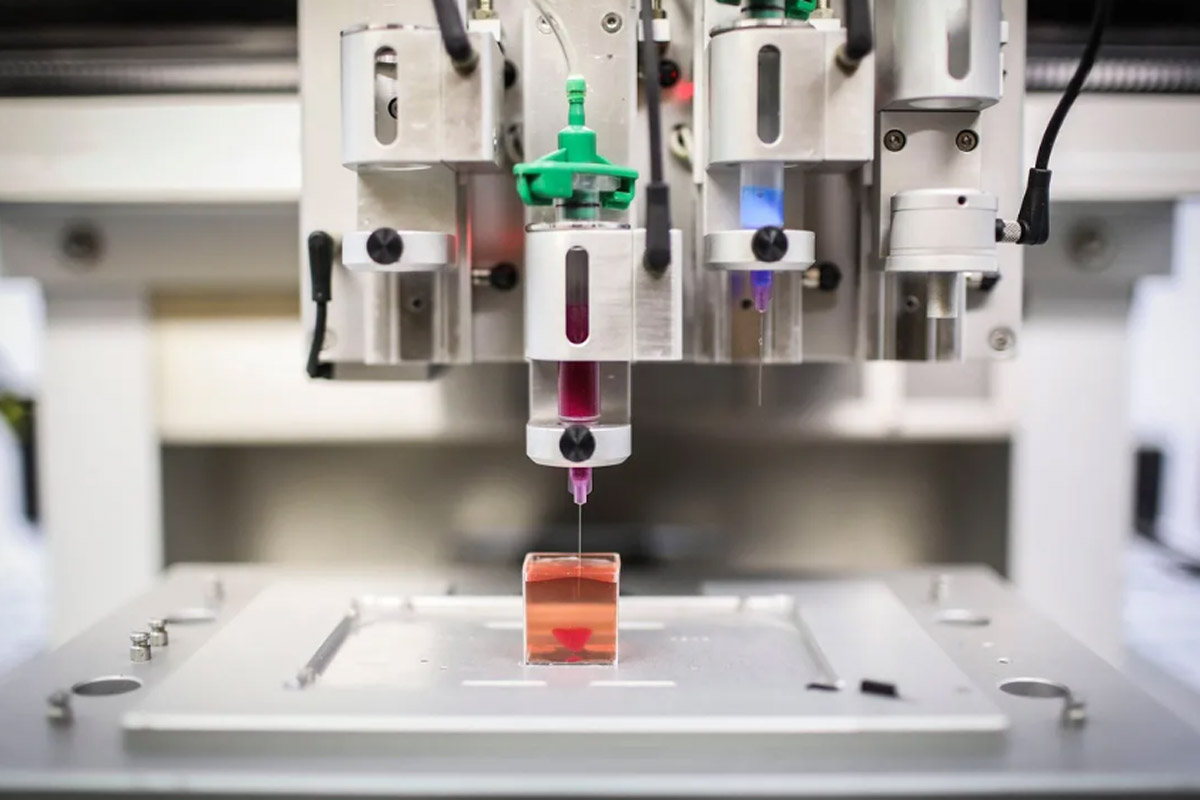 Día de la Donación de Órganos: de la revolucionaria impresión 3D al factor pandemia en los trasplantes