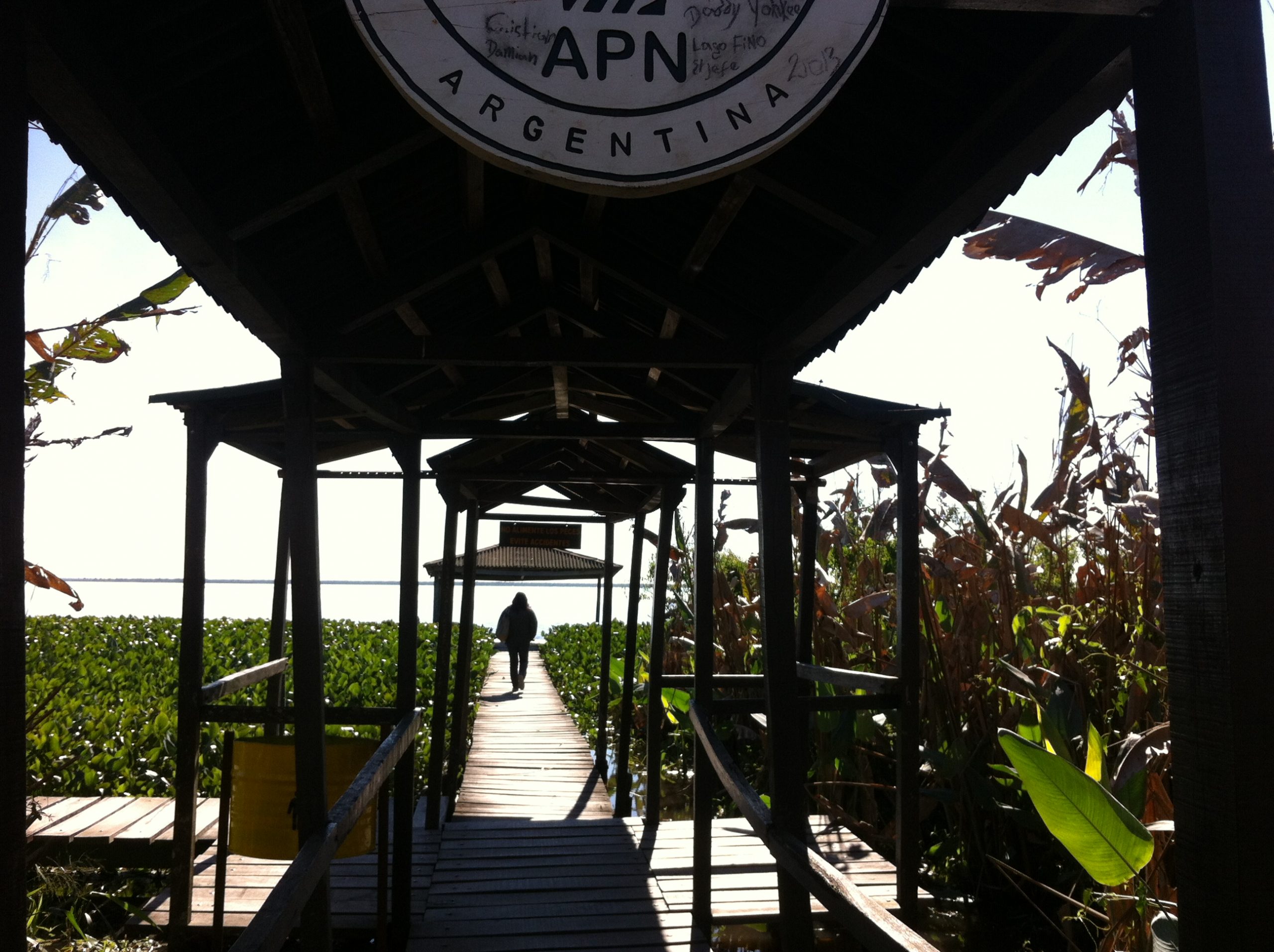 Aumento del 142% del presupuesto para la creación y ampliación de áreas protegidas