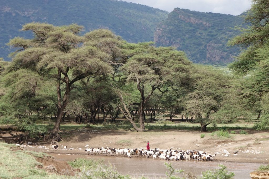 Represión y despojo: el lado B del turismo de lujo en Tanzania que visitaron Icardi y Wanda