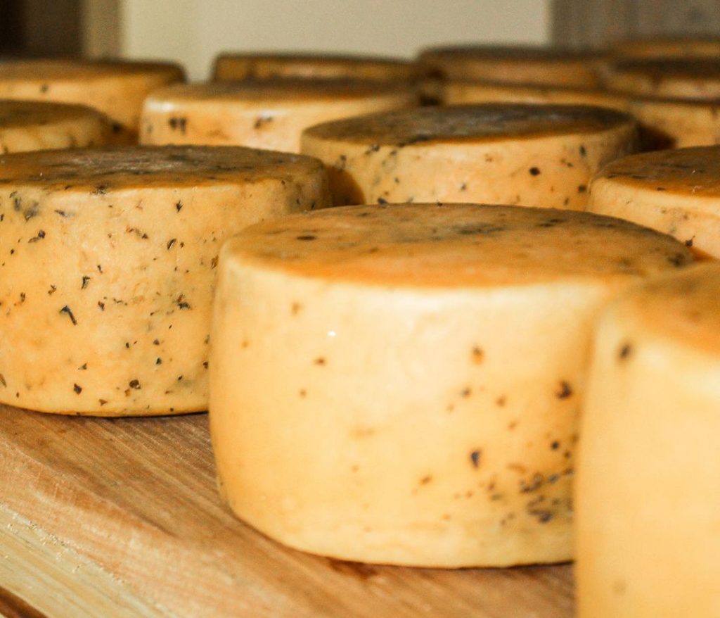 Naturaleza, historia y gastronomía en Berisso y Tapalqué